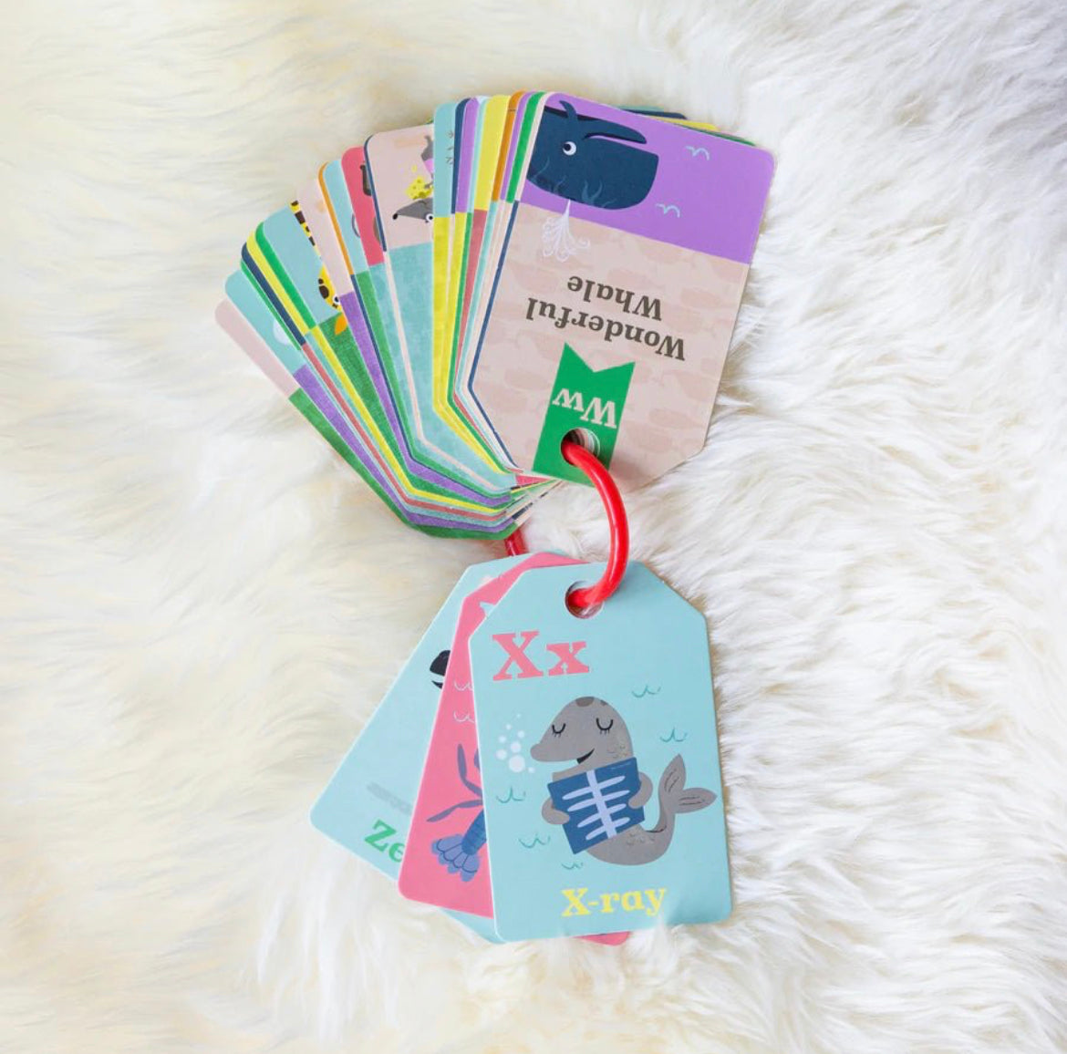 Alphabet Flash Cards ABC- Animals